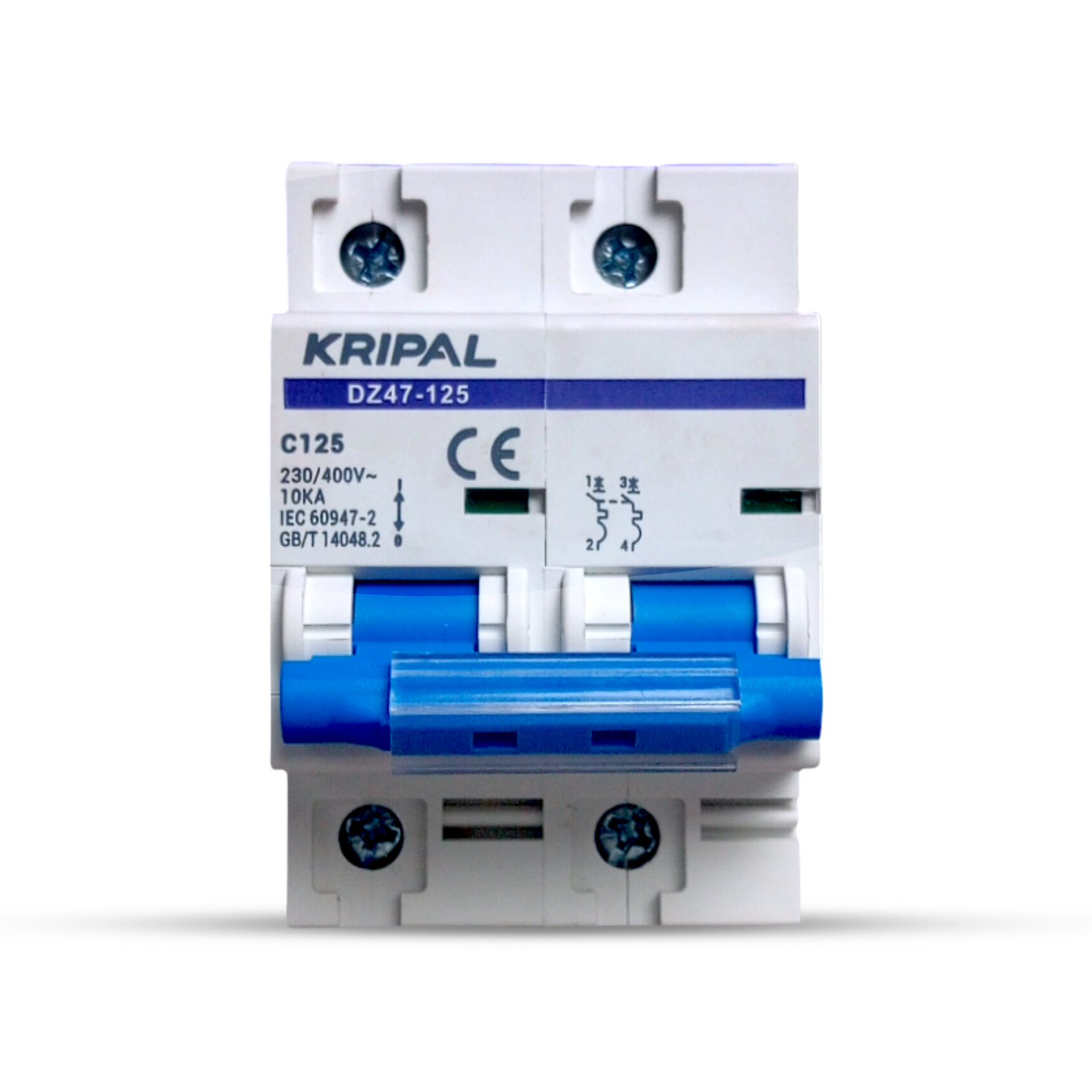 Kripal DZ47-125 2-Pole 125A AC Miniature Circuit Breaker (MCB) — solar equipment in Lahore, Pakistan